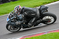 Advanced Group Silver_Grey Bikes